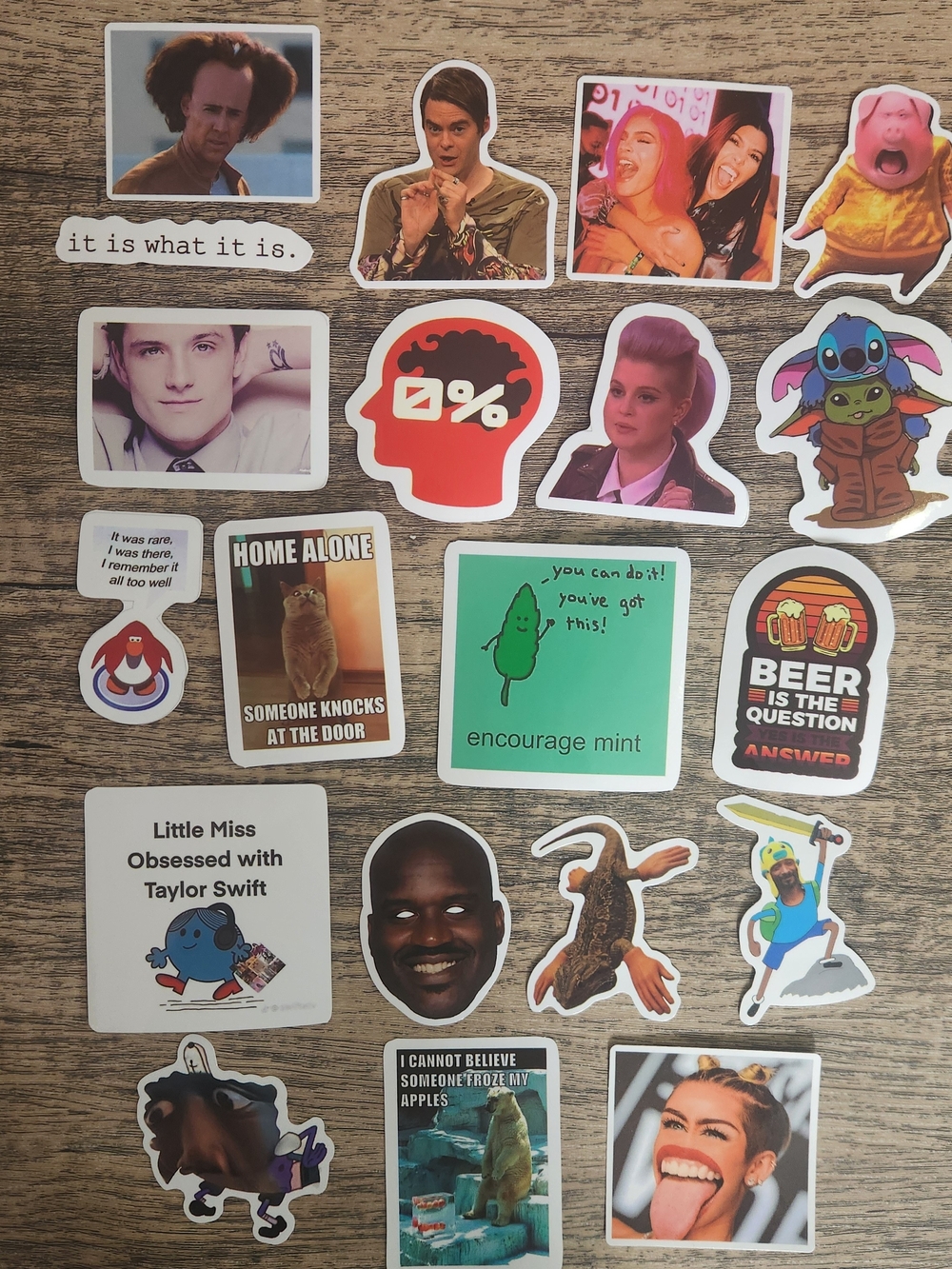 Sticker Pack - Assorted Pop Culture & Meme Stickers (Multicolor) #4